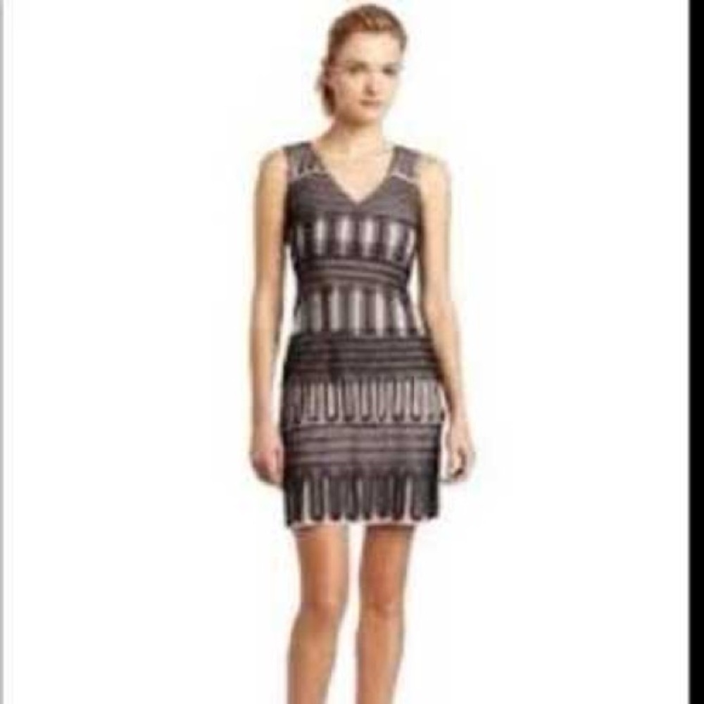 BCBG MaxAzria Black & Mauve Sleeveless Layered Tulle Mini Dress